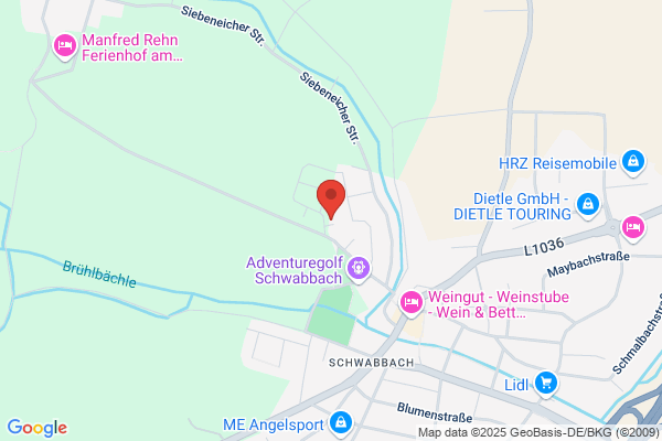 Alarmanlagen, Absicherungen aller Art, Video,Notrufzentrale Remus Tag+Nacht e.K.