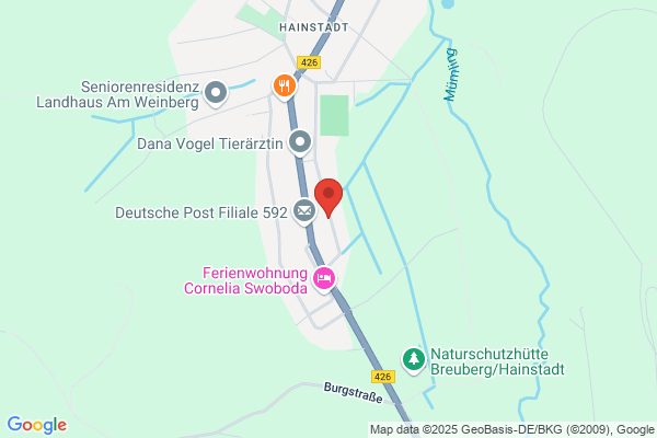 Suppe EDV Beratung