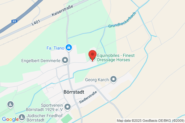 DF Sportpferde LTD