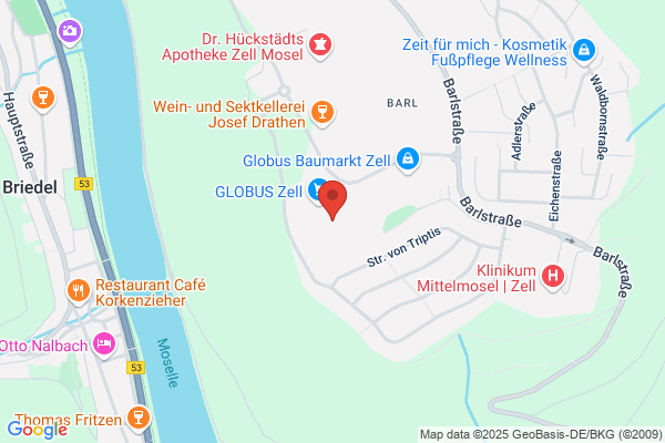 GLOBUS Restaurant Zell