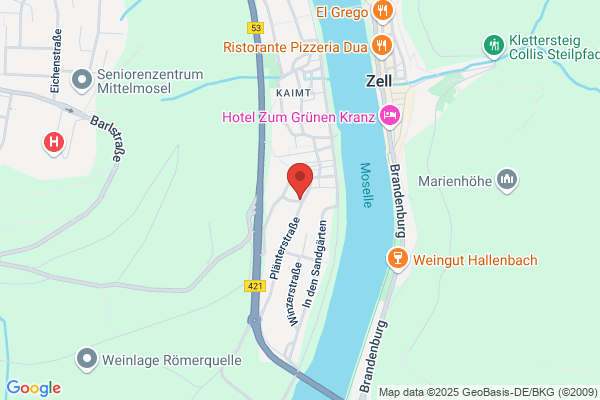 Pension Winzerhaus Haas-Lenz Mosel
