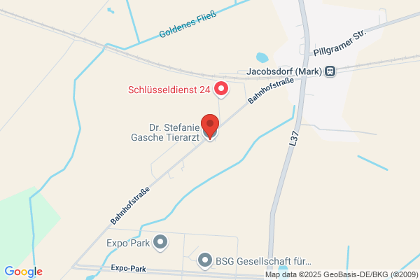 Dr.med.vet. Detlef Gasche