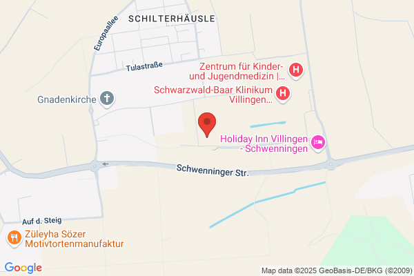 Badisch-Württembergische Treuhand GmbH & Co KG
