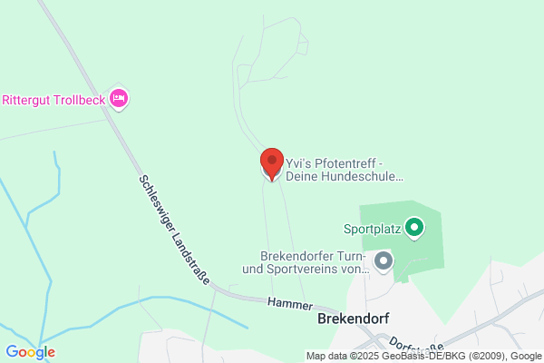 Hundeschule Inh. Birte Wermann