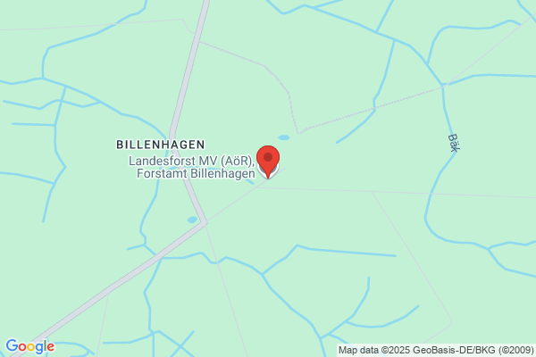Forstamt Billenhagen Revier Reppelin
