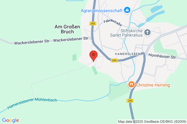 Freiwillige Feuerwehr