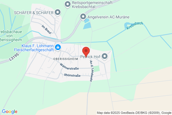 Die Gartenzwerge