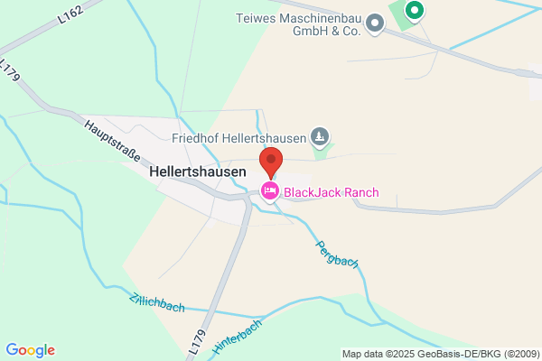 Institut für Integrative Psychiatrie