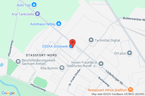 Schnittblumen & Topfpflanzen Handels GmbH Floristik 99