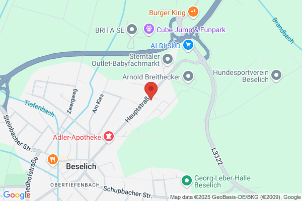 Schäfer,Hans - Jürgen