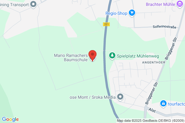 Mario Ramachers Baumschule