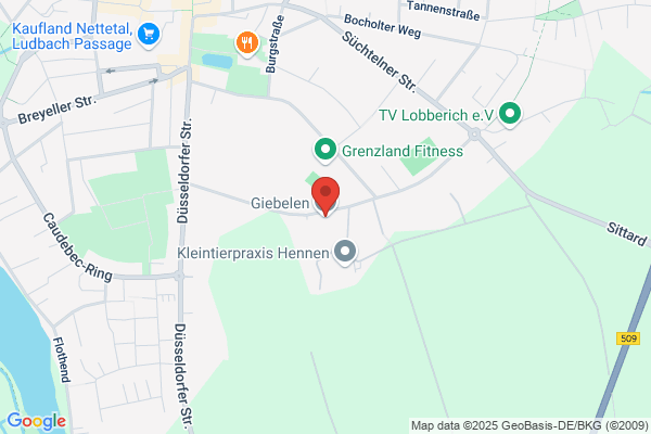 Gottfried Giebeln