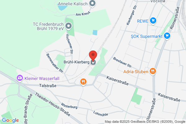 Armbruster Umzüge