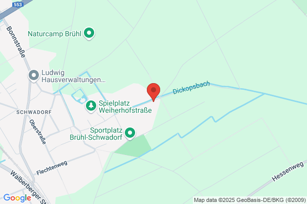 Geobiologische Beraterin Dissen, Elke