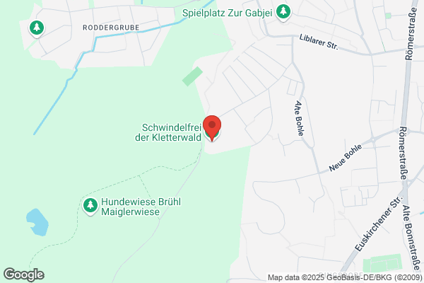 Schwindelfrei der Kletterwald