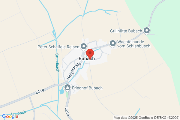 Liesenfeld