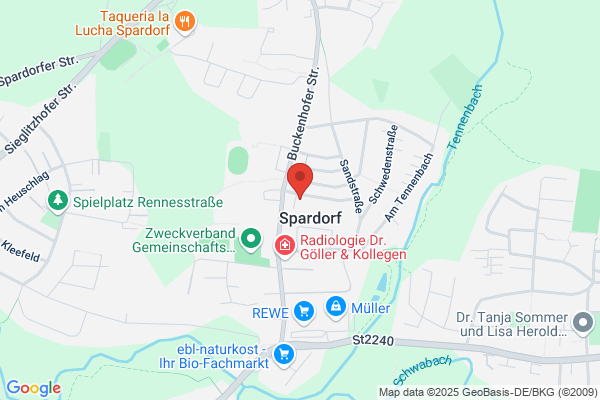 Sandner Streichinstrumente