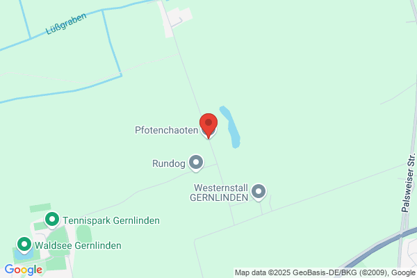 Prihoda Albert - Hundeschule Forstern