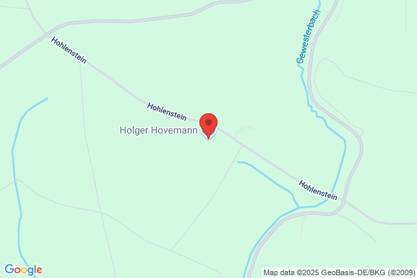 Holger Hovemann