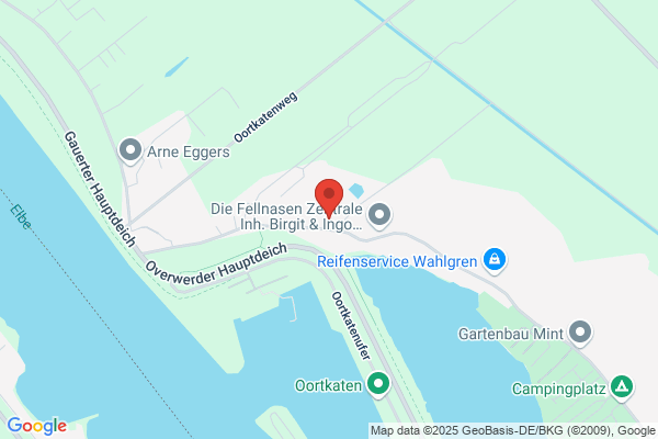 Zwei Tauben
