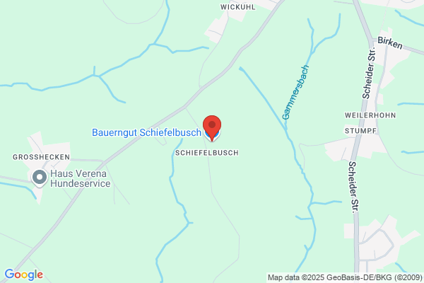 Schiefelbusch GmbH