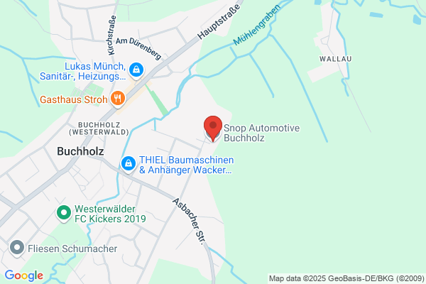 Tower Automotive Holding GmbH