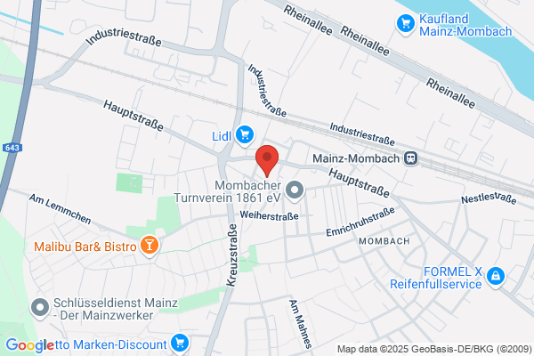 Auto Treber & Sgubbi GmbH
