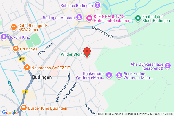 Zum Wilden Stein