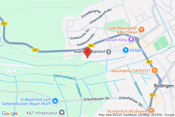 Michael Gerhardt