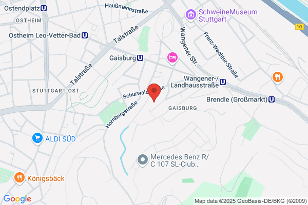 Dr. Mayer