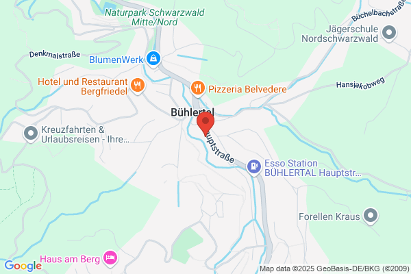 Narren der Bergstaaten e.V.