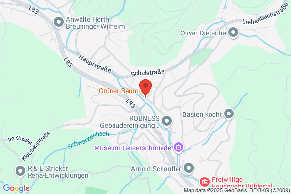 Hotel Grüner Baum