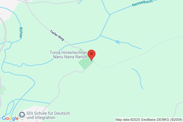 Verein der Hundefreunde Bühlertal