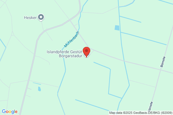 Islandpferdehof Gestüht Skogarholt