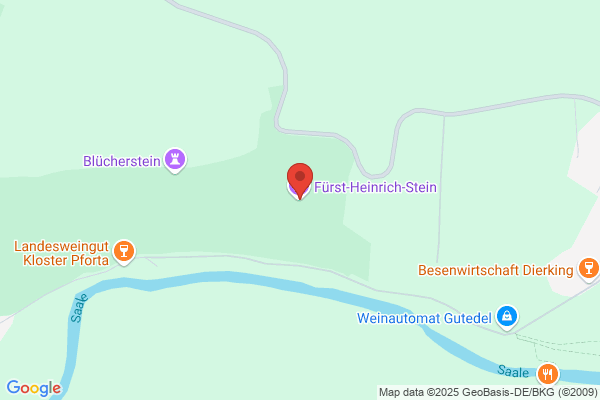 Heinrich Stein