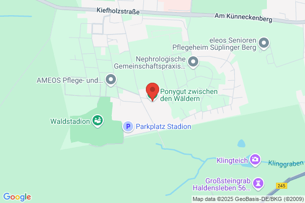 Ponnygut Zwischen den Wäldern Braumann D.