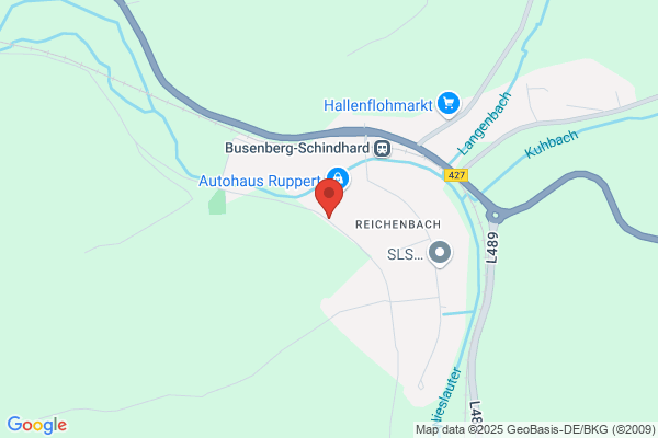 Karnevalverein Elwetritsche e.V.