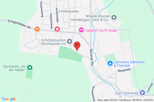 Freiwillige Feuerwehr Steinhausen
