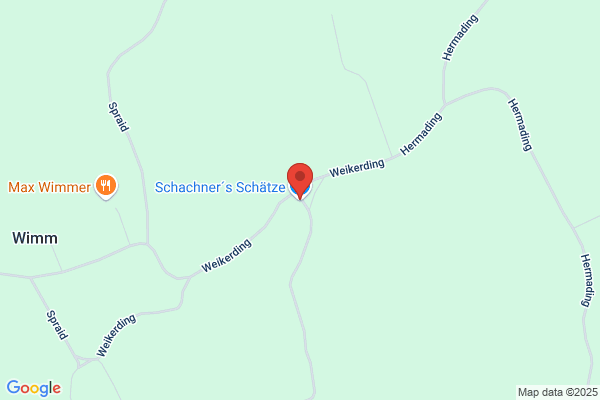 Rosa Schachner