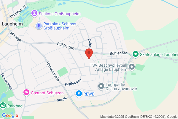 Detektei Lage-Schulte.info OHG