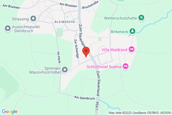 Reinigungsservice Thieme