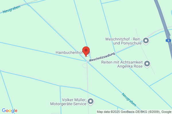 Rene Wehe