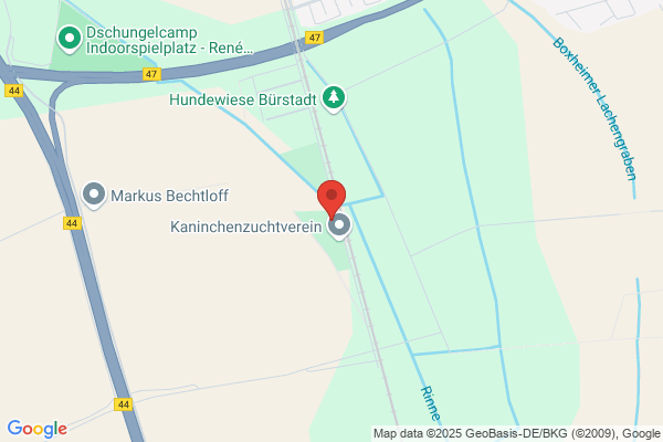 Brieftaubenvereinigung e.V.