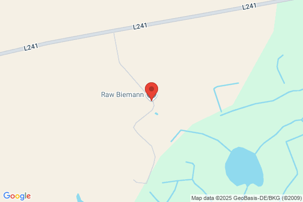 RAW Biemann GmbH