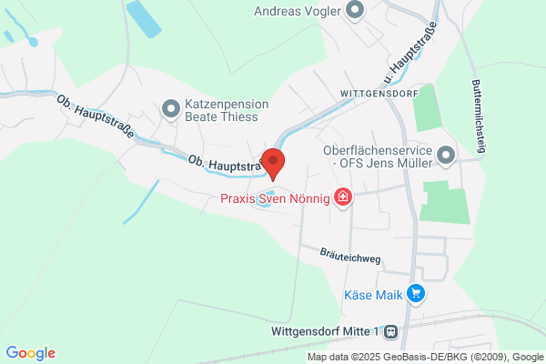 diska Wittgensdorf