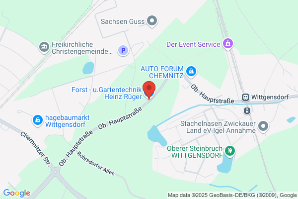 Werner Heinz