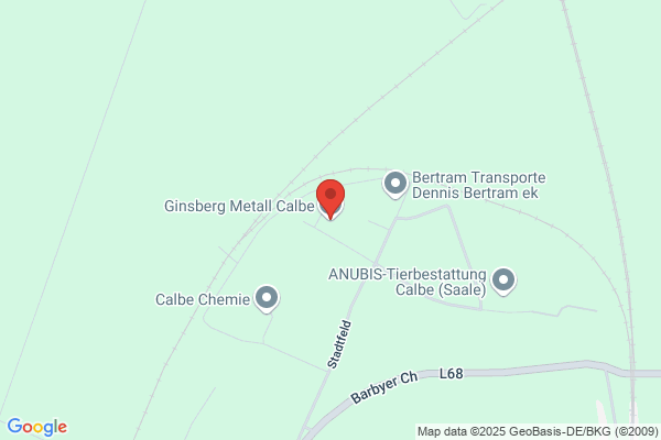 Metall Calbe Ginsberg