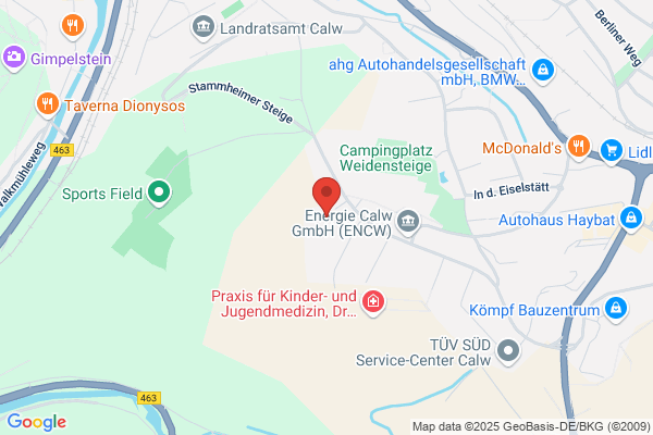 Alarmanlagen, Absicherungen aller Art, Video,Notrufzentrale Remus Tag+Nacht e.K.