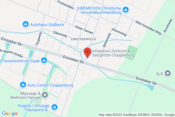 Smartphone Service Kogorepair