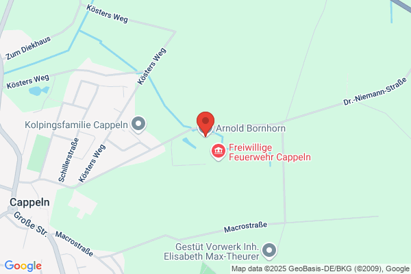 Bornhorn Arnold